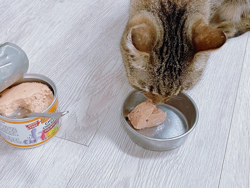 女人知己試用大隊,口碑行銷,部落客行銷,PURRFACT 波菲特貓用主食罐,主食罐,PURRFACT波菲特,貓主食罐,貓罐,PURRFACT波菲特貓用主食罐,魚肉蔓越莓主食罐,鮮嫩雞主食罐,鹿肉雞肉主食罐,牛肉鵪鶉貓主食罐,干貝蠶蛹配方,鱷魚肉白木耳配方,雞肉魚肉配方,安心鶉配方,評價,體驗,適口性佳,心得,成貓適用,高齡貓適用,質地是慕絲狀
